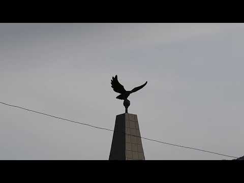 Видео: 24 часа от 31.10.23_Катон-Карагайский район