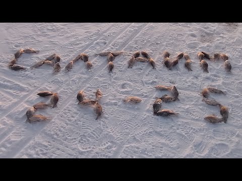 Видео: Открытие зимнего сезона 2024-2025.Озеро Салтаим.