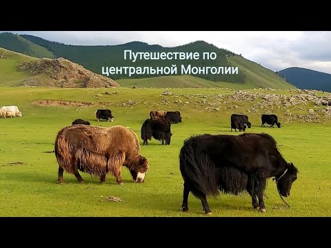 Видео: 7 дней по Центральной Монголии