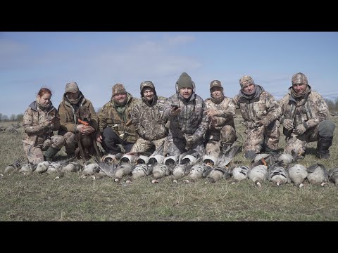 Видео: Шикарная Охота на гуся в Олонце Тур от ПроГусь/ Розыгрыш