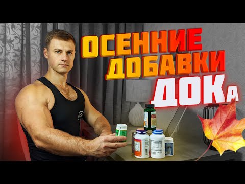 Видео: Осенние добавки ДОКа!