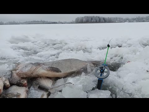 Видео: ПЕРВЫЙ ЛЁД 2022-2023.РЫБАЛКА НА ЛЕЩА ПО ПЕРВОМУ ЛЬДУ