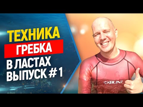 Видео: 🔥Техника гребка в ластах. Основные ошибки. Выпуск #1 Фридайвинг и подводная охота.