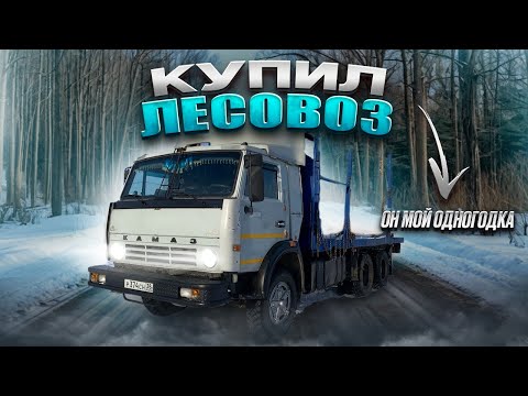 Видео: Купил ЛЕСОВОЗ! Выбирал ПОЛ года!
