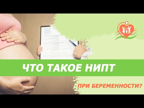 Видео: 👉 Что такое НИПТ при беременности?
