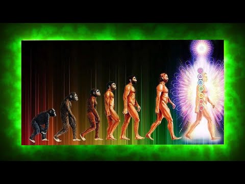 Видео: Как узнать как далеко я продвинулся на духовном пути?