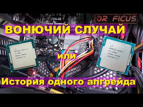 Видео: Обычный день типичного компьютерщика