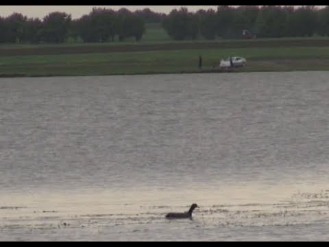 Видео: Проблемы с экологией озера с. Кировакан в Ахалкалаки