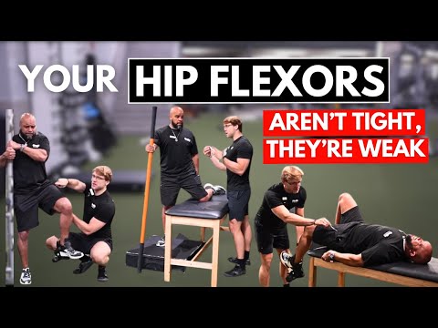 Видео: Сила создает доверие, доверие создает диапазон движений