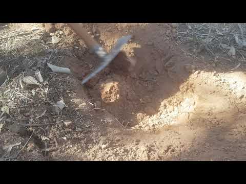 Видео: 22-граммовый золотой самородок к югу от Веддерберна. GPZ 7000. Катушка 19 дюймов. Джейн — мой тал...