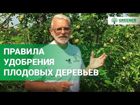 Видео: Летние удобрения | Секреты ОГРОМНОГО урожая в моем саду