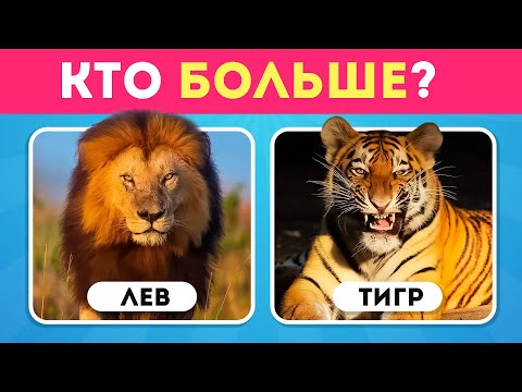 Видео: 50 ВОПРОСОВ О ЖИВОТНЫХ 🧠🐬🦎🦁 / КАК МНОГО ВЫ ЗНАЕТЕ О ЖИВОТНЫХ /  EMOJI COOL 😎