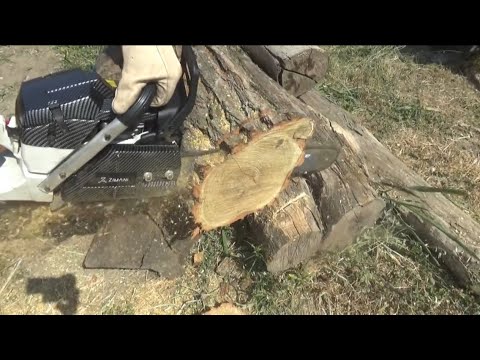 Видео: Обзор-разбор ZimAni 365 pro