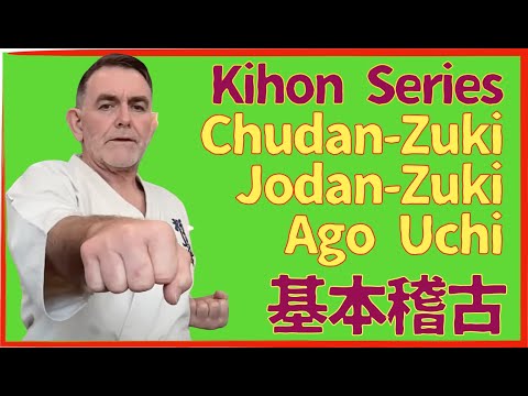 Видео: Киокушин каратэ Кихон. Несколько ударов за раз. Удары сэйкэн. Тренировка с шиханом Кэмероном Куин...