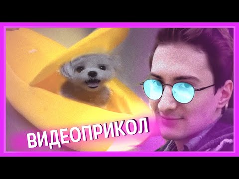 Видео: Олёша смотрит видео приколы 5
