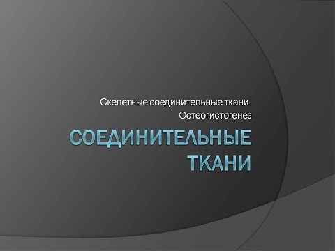 Видео: Скелетные соединительные ткани: хрящевая и костная ткань. Остеогистогенез.