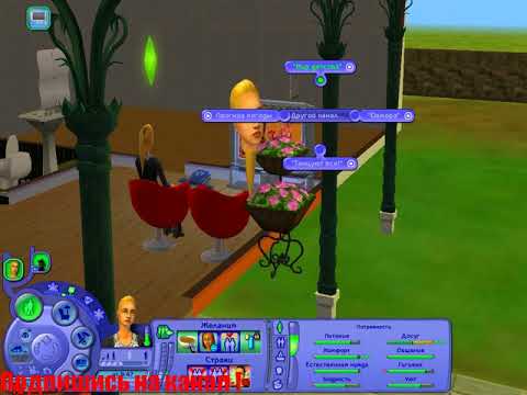 Видео: Sims2 2021 ! Обзор прохождение ! Дрессировка питомца !