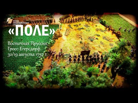 Видео: Поле