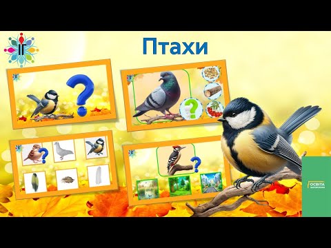 Видео: Птахи