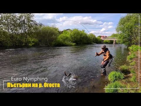 Видео: Риболов на пъстърва. Euro Nymphing