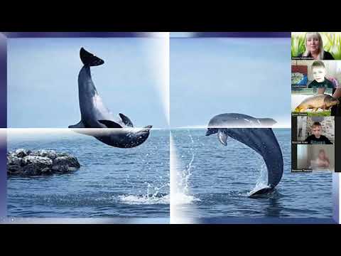 Видео: Відеоуроки 2 клас. Образотворче мистецтво