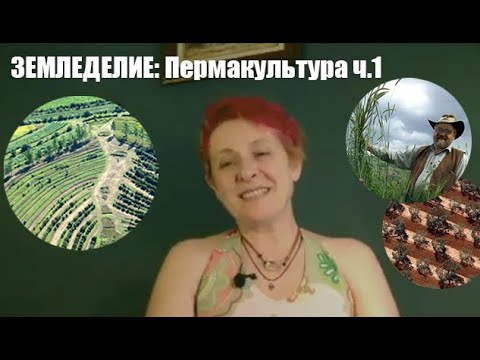 Видео: Земледелие: Валерия Букина о пермакультуре, симбиозе и Зеппе Хольцере