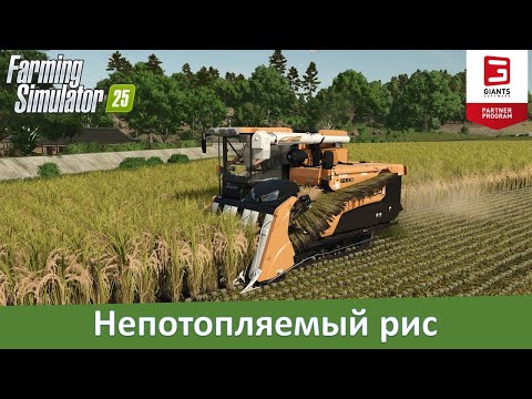 Видео: Farming Simulator 25 - "Гиганты" рассказали о работе с рисом