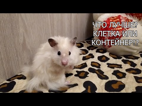 Видео: КОНТЕЙНЕР ИЛИ КЛЕТКА ДЛЯ ХОМЯКА И МЫШЕЙ. ЧТО ЛУЧШЕ!?