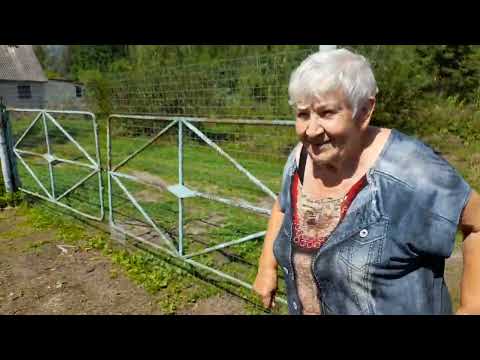 Видео: УРОЖАЙ👍КУДА ДЕВАТЬ🤣ВСЕ ПРИШЛИ👀Я В ШОКЕ🤫😉💋❤️