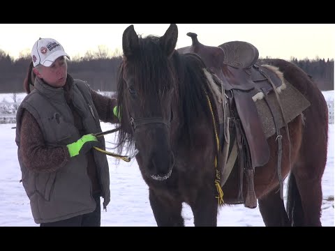 Видео: Вестерн заездка. Урок 1.