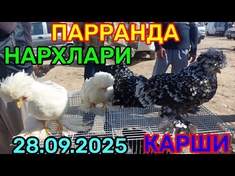 Видео: 28.09.2025 ПАРРАНДА НАРХЛАРИ КАРШИ КАРВОН МОЛ БОЗОРИДА 