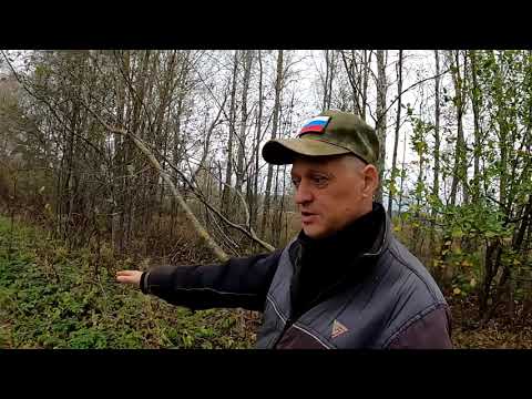 Видео: Странно, все вокруг в ямках а эту обочину не тронули... коп металлолома