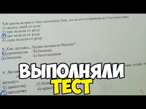 Видео: Проверка тетрадей по литературному чтению - 3 класс