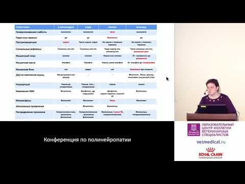 Видео: Дубовицкая О. А. - Алгоритм обследования пациента с острым нижнемоторным тетрапарезом
