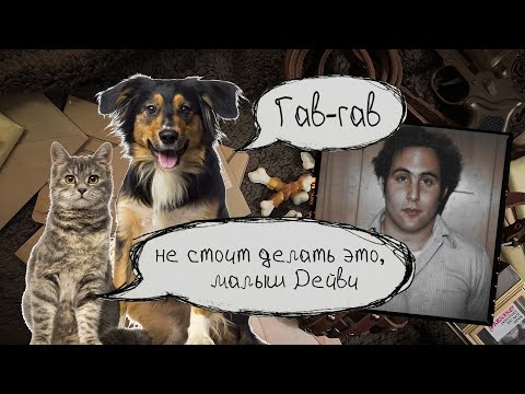 Видео: Серийный арт /  Дэвид Берковиц / сын Сэма и дьявольские псы
