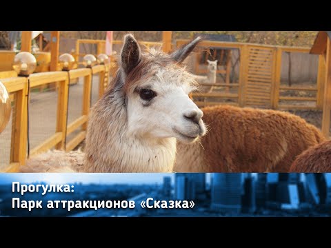 Видео: Парк "Сказка". Динозавры, альпака, хаски и парк "Айва"