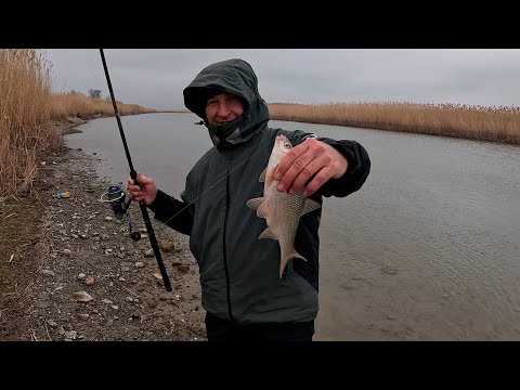 Видео: Отличная рыбалка на фидер в компании с Михаилом