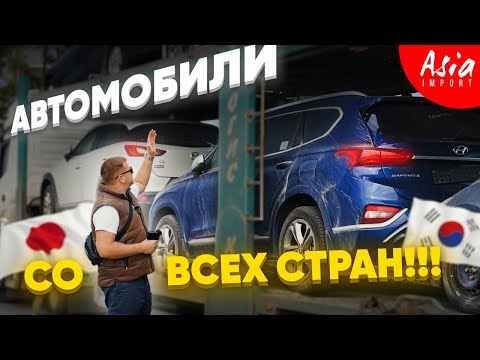 Видео: Привезли 😱 Harrier, Santa Fe, Morning, K3, Cx-3, Premio, Mazda 2 и Freed Spike