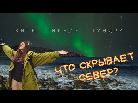 Видео: САМОЕ НЕВЕРОЯТНОЕ ПУТЕШЕСТВИЕ НА КРАЙ ЗЕМЛИ | Териберка | Русский Север