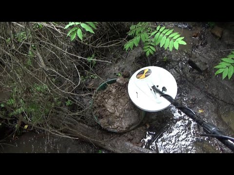 Видео: Поиск золотых самородков металлоискателем в ручье!