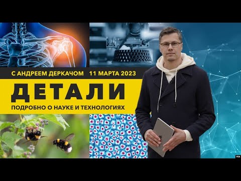 Видео: Ультразвук, управляющий клетками, и 3Д-печать c использованием марсианской пыли | «Детали»