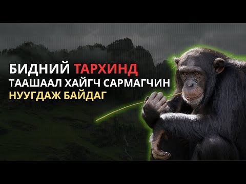 Видео: 💥 ЗАЛХУУРАЛ БОЛ ХАМГИЙН УХААЛАГ БАГТАЙ ДАЙСАН.