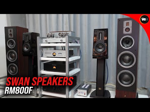 Видео: Обзор акустики Swan Speakers RM800f