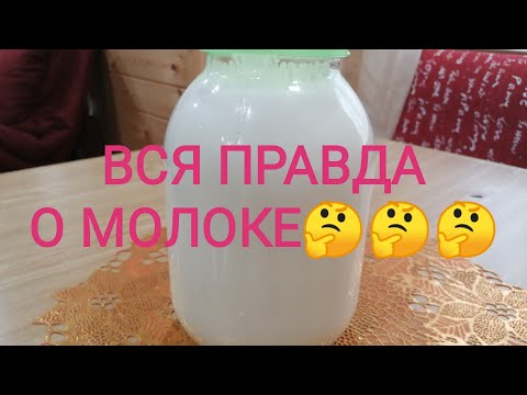 Видео: Это должен знать каждый у кого коровы и козы. Соматические клетки в молоке.