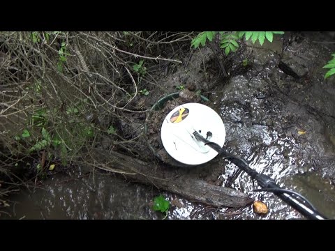 Видео: Поиск природных ловушек для золота на реке металлоискателем!