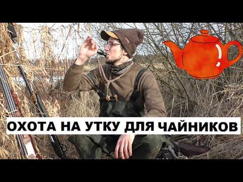 Видео: ОХОТА НА УТКУ ДЛЯ ЧАЙНИКОВ