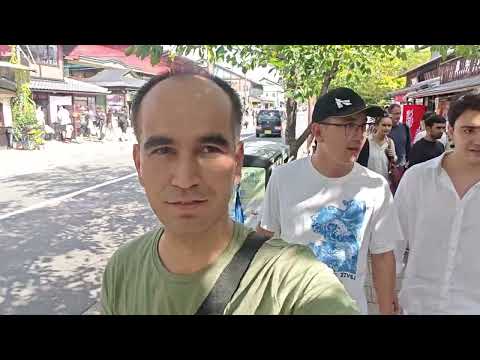 Видео: Kyoto Walk — Путешествие по улицам древнего города (без слов)