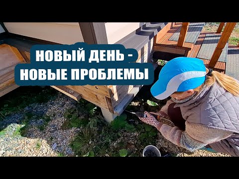 Видео: А РАДОСТЬ БЫЛА НЕДОЛГОЙ! 🤦‍♀️ Новые проблемы не заставили себя ждать 🥁