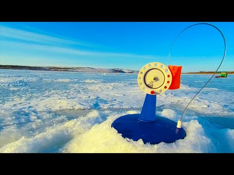 Видео: ЩУКА НА ЖЕРЛИЦЫ В ФЕВРАЛЕ! КЛЕВ ЩУКИ В ГЛУХОЗИМЬЕ | ТРУДОВАЯ РЫБАЛКА | Рыбалка 2024