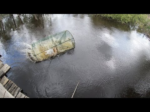 Видео: Рыбалка На Мордушку Кубарь Морду 2020г Советы Подписчиков Засолил Чебака